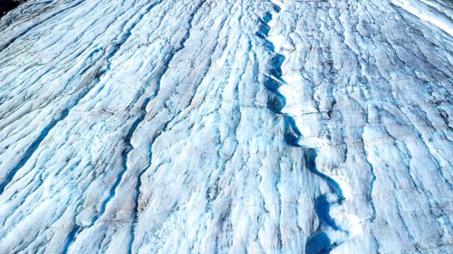 Melting glacial ice flowing down the athabasca glacier reveals stunning blue crevasses,