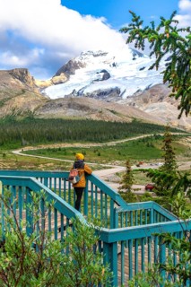 Tourist standing on a wooden stairway, admiring the stunning view of athabasca glacier in jasper
