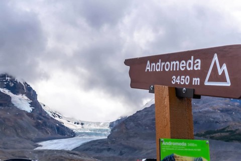 Wooden sign indicating andromeda mountain with athabasca glacier in the background, a popular
