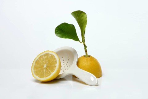 Lemon with leaf, cut in half, Citrus x limon, porcelain strainer