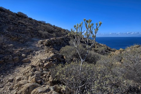 Rocky path along a rocky coast under a bright blue sky, Los Cristianos Tenerife