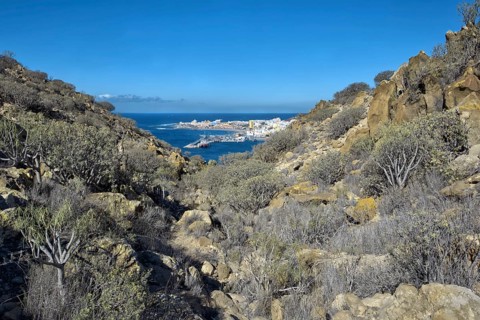 Harbour view through a rocky and bushy landscape under clear skies, Los Cristianos Tenerife