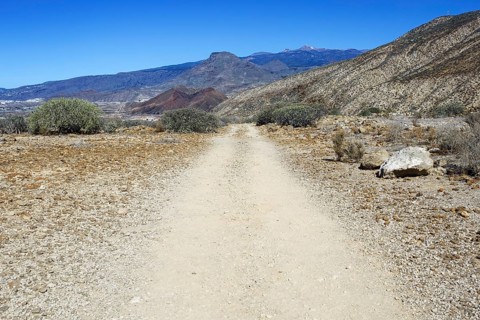 A dry, rocky path stretches through a barren, mountainous volcanic landscape, Los Cristianos