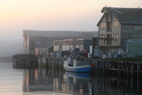 A quiet harbor in morning fog with boats and wooden houses reflecting in the water, Vardø,