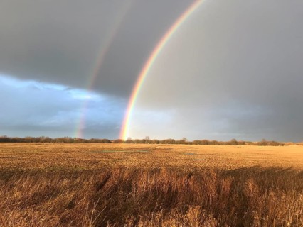 A double rainbow over a brown wet meadow wet grassland under a cloudy sky in warm light, Dümmer