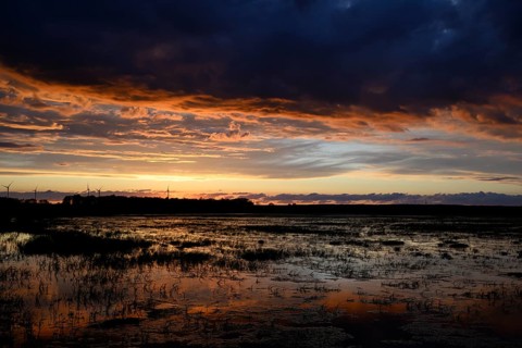 Dramatic sunset over flooded wetlands with wind turbines in the background and saturated shades of