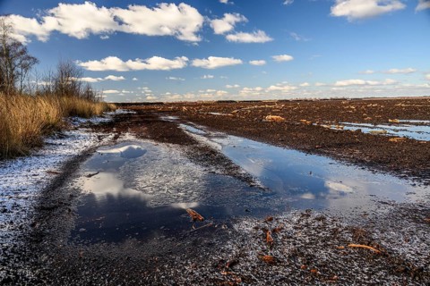 Peated hoochmoor black peat in cloudy skies with earthy colors and natural texture, Diepholzer
