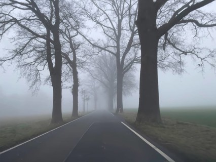 Driver's perspective view of foggy, foggy country road with trees next to the road in thick fog in
