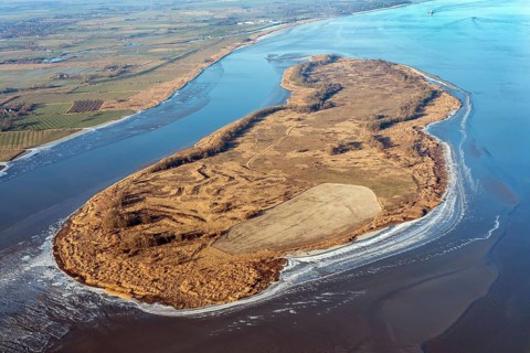 Black tonnensand, island, Elbe, nature reserve, aerial view, Lower Saxony, Germany