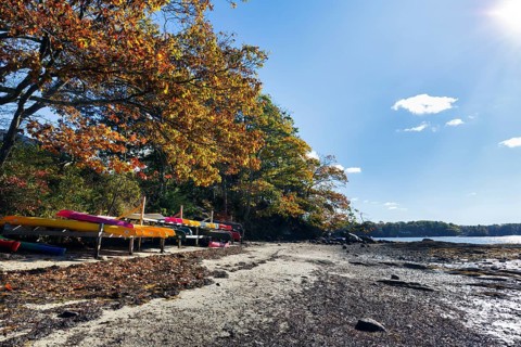Wooded coastline, rocky beach, low tide, colorful kayaks on wooden frame, Indian summer, blue sky,