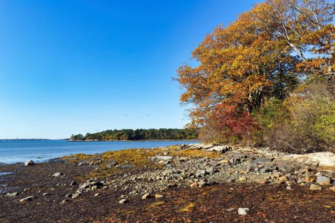Wooded shoreline, rocky beach, low tide, Indian summer, blue sky, campground, sustainable farm in