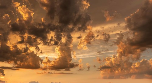 A brilliant sunset casts warm colors across a cheerful meadow. Dark clouds dominate the sky, while