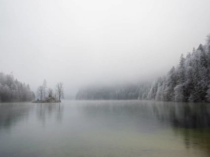 View across Königssee to Christlieger Island and frozen trees in fog, Schönau am Königssee,