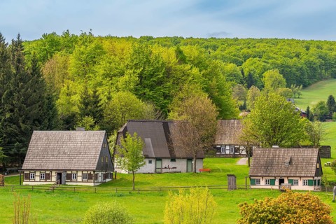 Historic houses with half-timbered timber and shingles under trees in the Seiffen open-air museum,