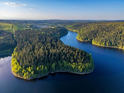 Aerial view, drone photo: spruce forest and beech trees at the Eibenstock drinking water reservoir,