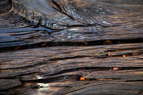 Old weathered railway threshold, detail photo, near Bresewitz station, near Zingst,