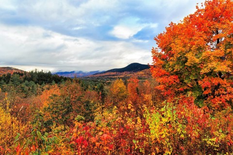Scenic View, Panoramic View, Fall Leaves, Indian Summer, Fall Weather, Sugar Hill Observation Deck,