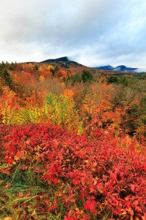 Scenic View, Fall Leaves, Indian Summer, Sugar Hill Observation Deck, Kancamagus Highway, White