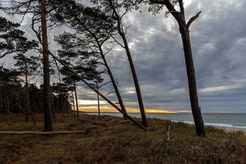 Evening light, sunset, Weststrand Darß, Baltic Sea, Fischland-Darß-Zingst, Western Pomerania Lagoon