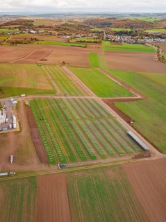 Wide fields with a solar park in the countryside, adjacent to a small village community, energy