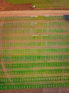 Aerial view of green fields with beginning solar plant construction and agricultural patterns,