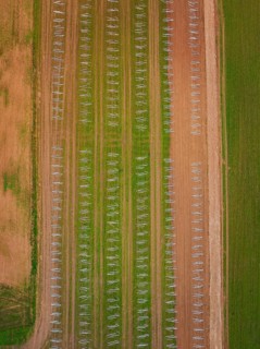 Aerial view of an agricultural field with evenly distributed solar racks in rows, energy