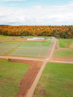Large-scale construction project for solar energy in fields near a forest, Energiewende,