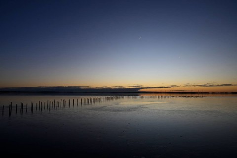 Row of posts over calm water at dusk, deep blue tones, wooden posts, boat dock posts run into the