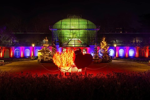 From November 29, 2025 to January 11, 2026, the palm garden and its partner World of Lights