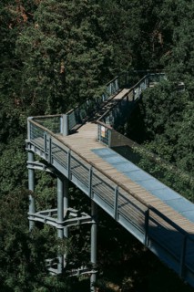 Lost Place, Treetop Trail of the Beelitz Heilstätten, Brandenburg
