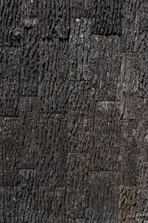 Surface with oak bark as a wood texture