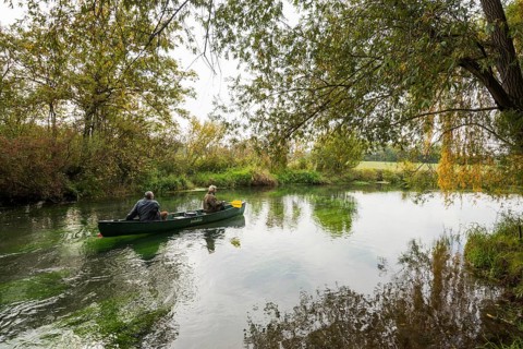 Paddler, Altrhein, Rhine, Taubergießen Nature Reserve, Kappel-Grafenhausen, Ortenau,
