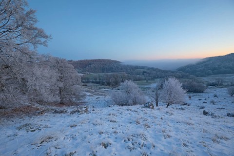 An impressive winter landscape on Randecker Maar near Ochsenwang, where a mystical sea of fog