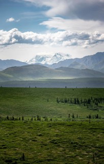 Tundra and glaciated peak of Denali or Mount McKinley, Alaska Range mountainous landscape, Denali