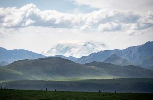 Tundra and glaciated peak of Denali or Mount McKinley, Alaska Range mountainous landscape, Denali