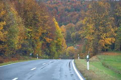 Federal road leads through an autumnal mixed forest, Gräfenberg, Upper Franconia, Bavaria, Germany