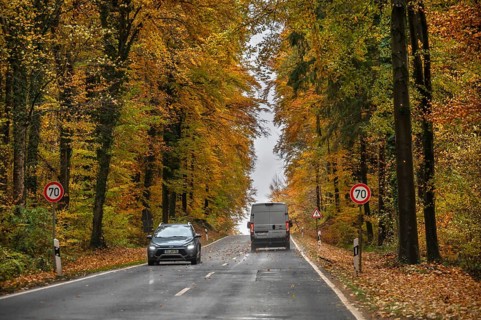 Federal road surrounded by mixed autumn forest, Gräfenberg, Upper Franconia, Bavaria, Germany
