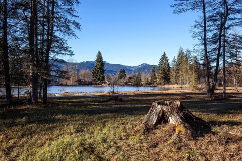 Moor, moor pond, in winter, Oberstdorf, Oberallgäu, Allgäu, Bavaria, Germany