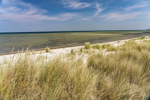 Dune landscape on the beach of the Kiel Fjord in Laboe, Schleswig-Holstein, Germany