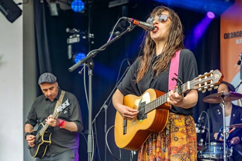 Eight buckets of chicken hearts live at the Orange Blossom Special Festival, Beverungen, Germany