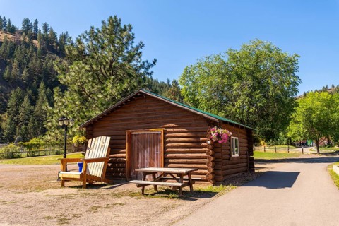 Log cabin basking in the sunlight amidst lush greenery and towering trees, offering a serene escape