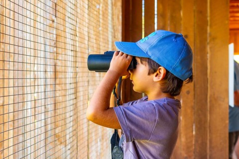 Young boy wearing a blue cap using binoculars observing birds in a bird hide, enjoying wildlife