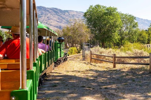 Tourists enjoying a delightful ride on a miniature train, taking in the stunning landscapes of