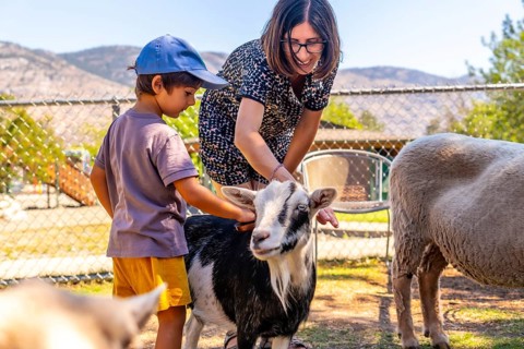 Happy mother and son petting a goat together at a petting zoo in kamloops, british columbia,