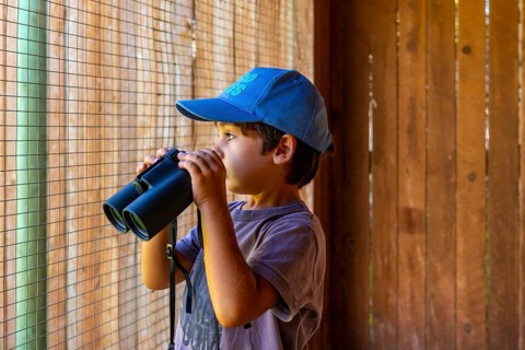 Young boy wearing a blue cap observing wildlife through binoculars at a nature park in kamloops,