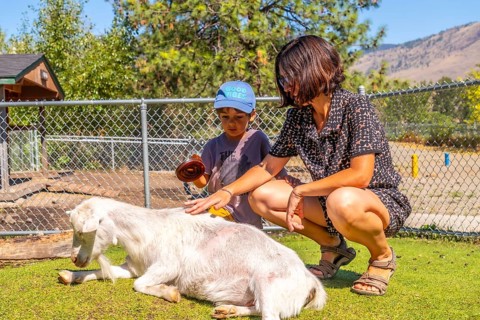 Mother and son enjoying a sunny day outdoors at a petting zoo in kamloops, british columbia,