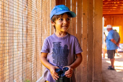 Young boy in a blue cap, holding binoculars, observing animals at british columbia wildlife park in