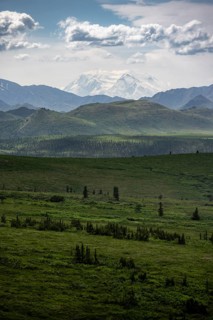 Tundra and glaciated peak of Denali or Mount McKinley, mountainous landscape, Denali National Park,