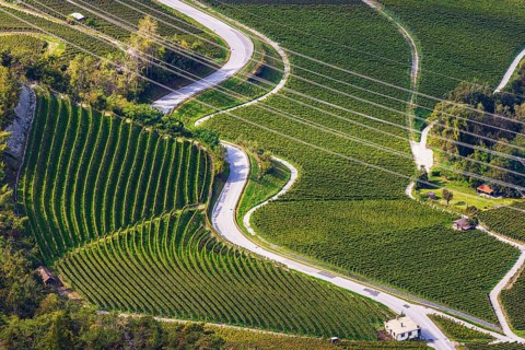 Power lines across vineyards and fields, view from Vercorin, Val d'Anniviers, Valais Alps, Canton