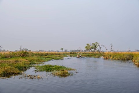 Safari by boat, tourists, Xakanaxa Lagoon, Okavango Delta, Moremi Game Reserve, Botswana